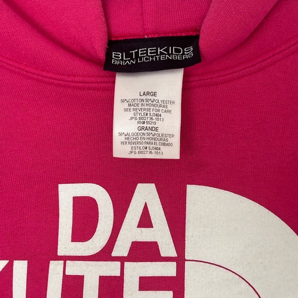 The North Face pink hoodie (Kids) Size:L - Picture 2 of 3
